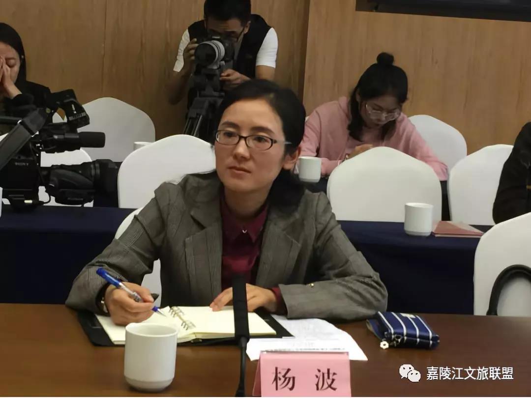 南部县副县长杨波介绍南部县旅游经济情况