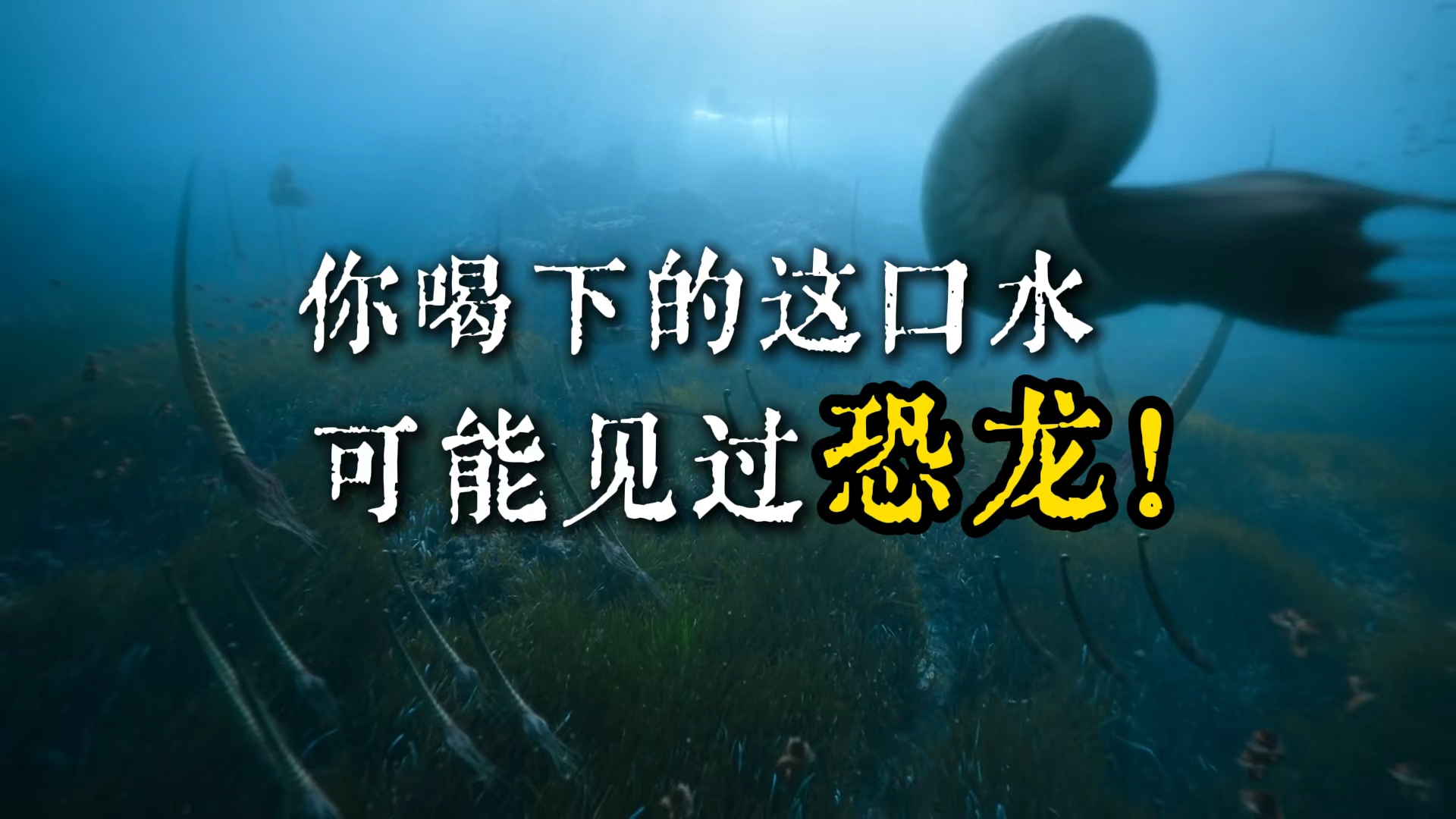 你喝下的这口水可能见过恐龙